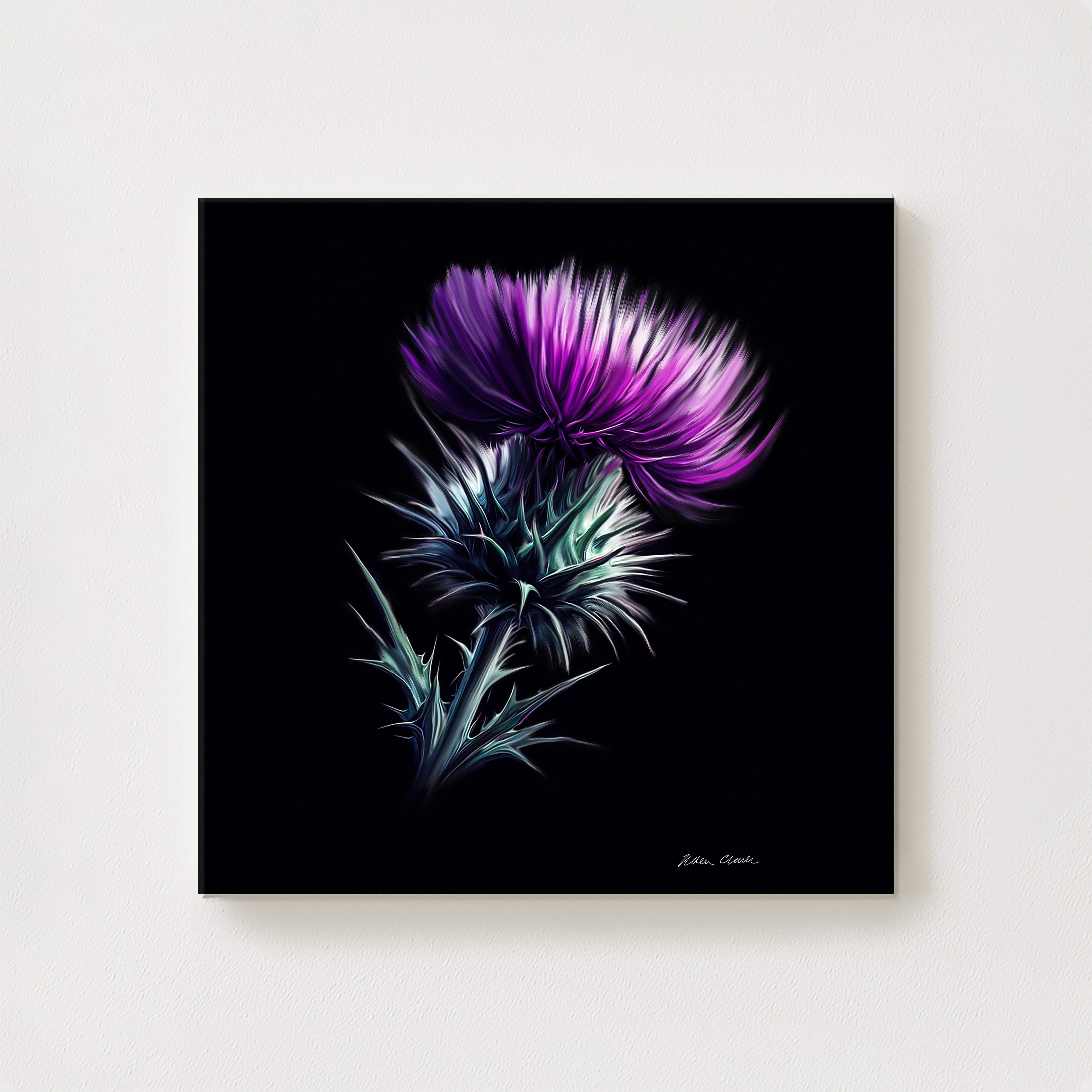 Purple Haze Canvas