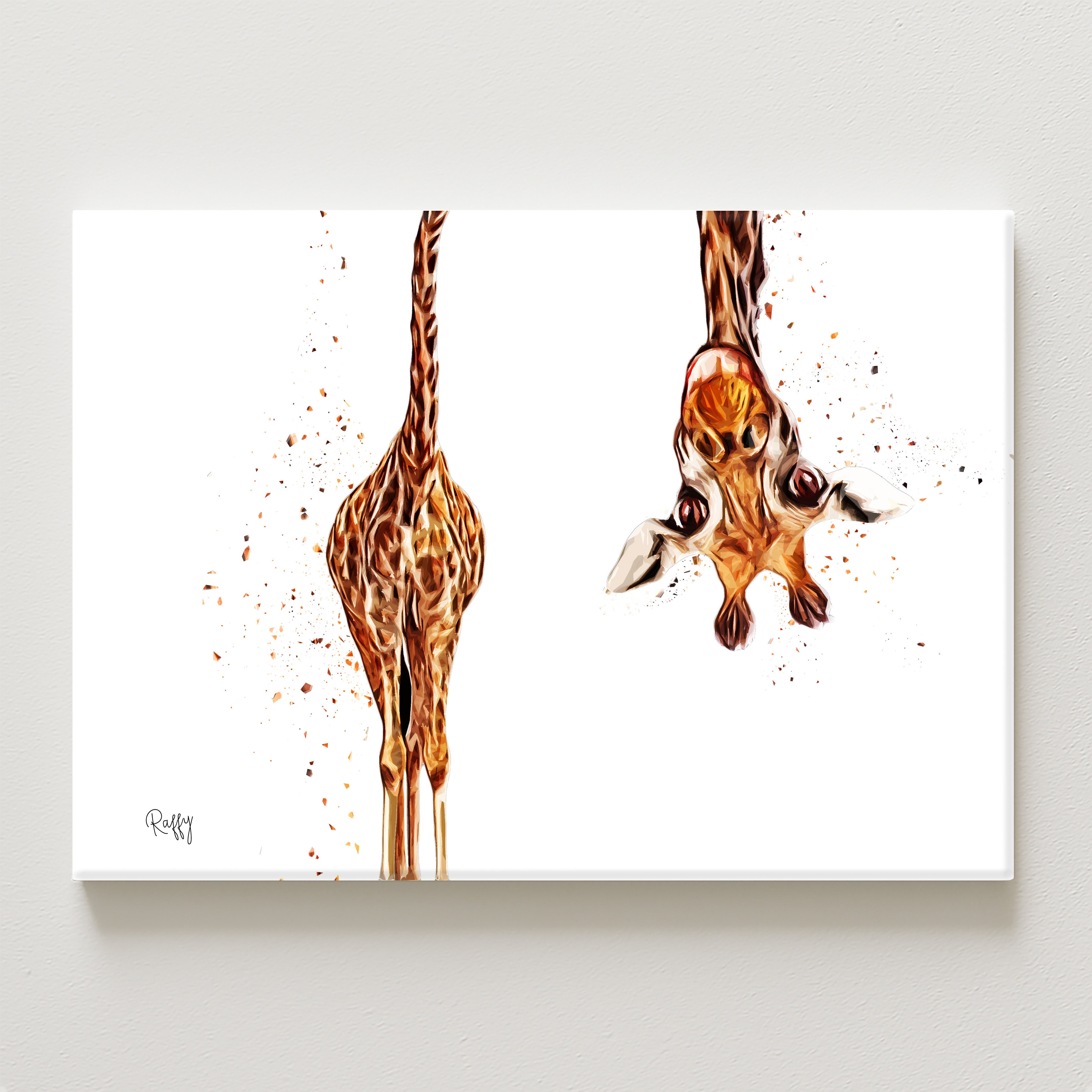 Raffy Canvas