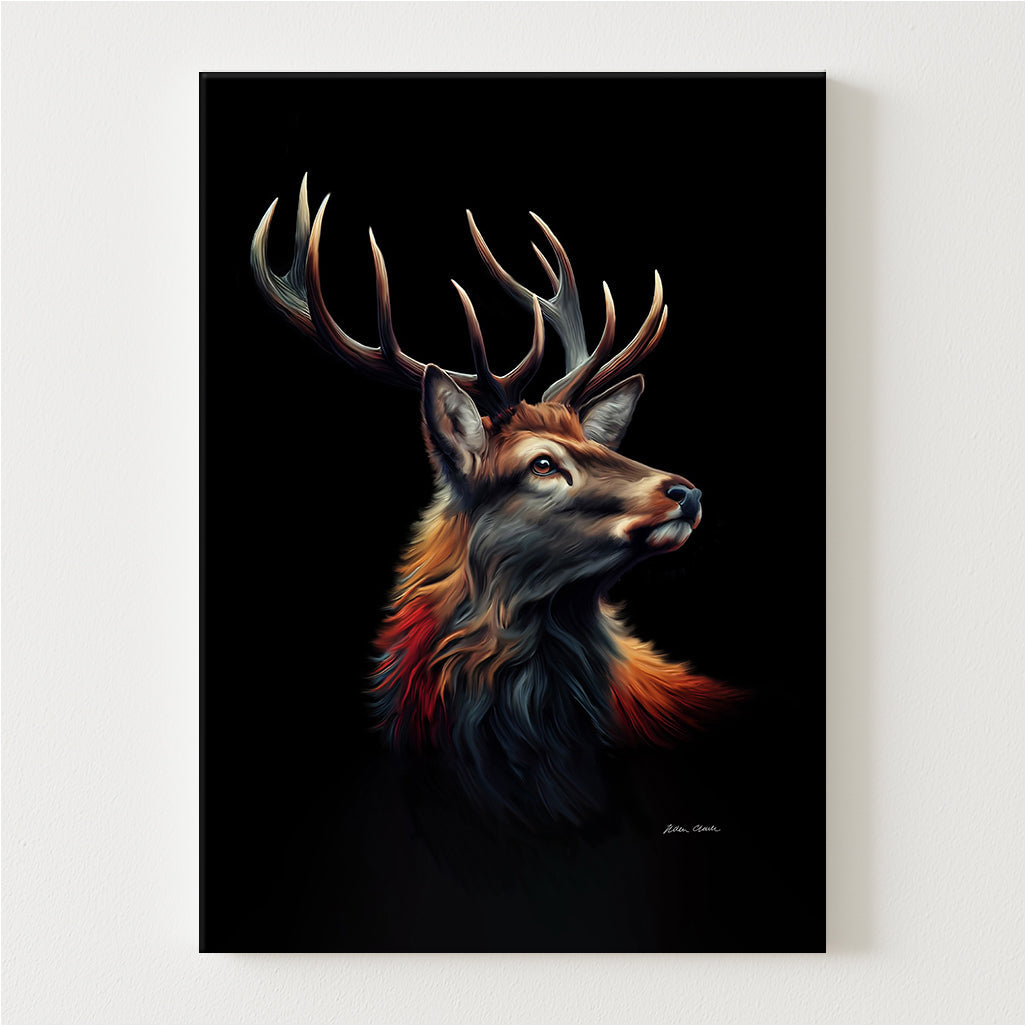 Argyll Canvas