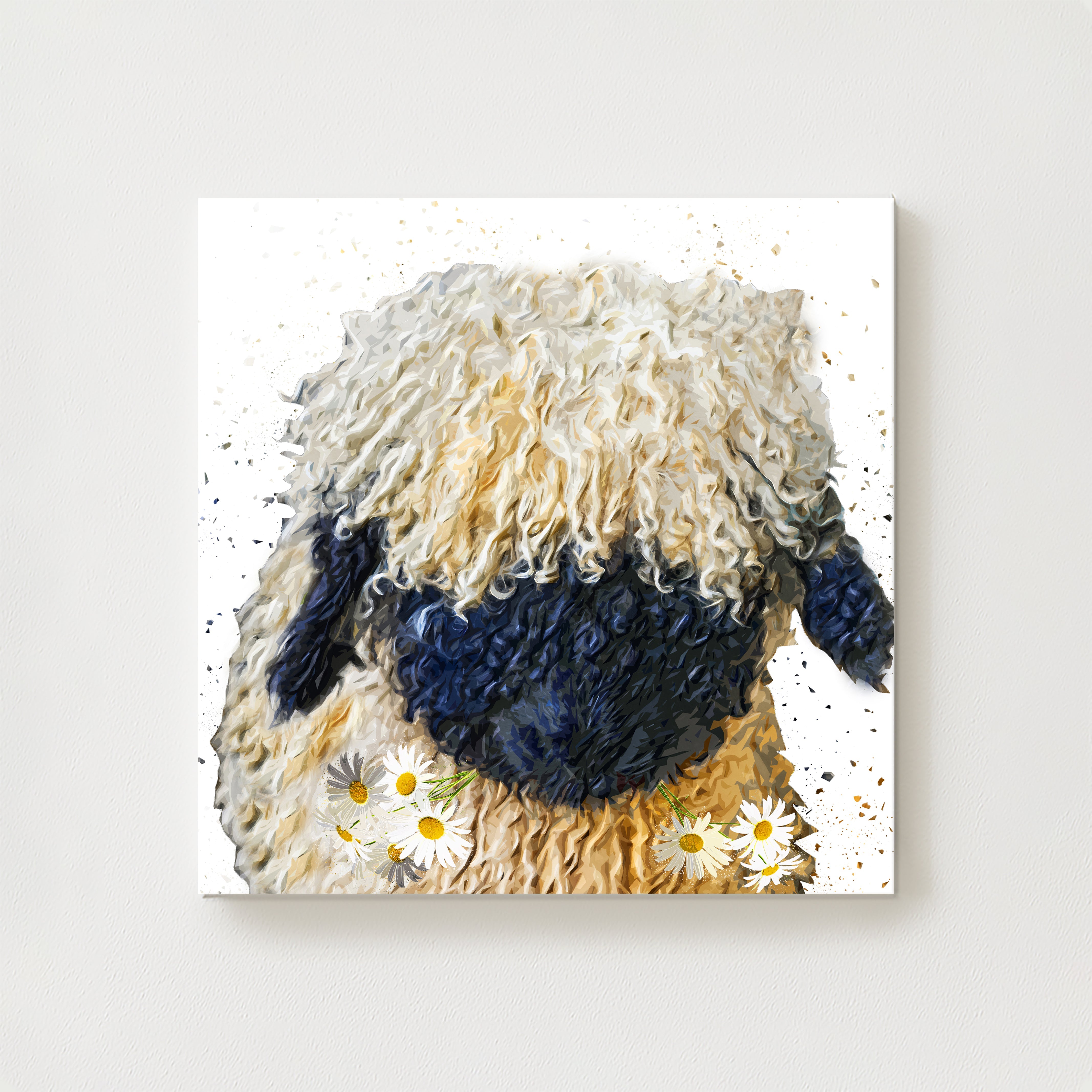 Dolly Canvas
