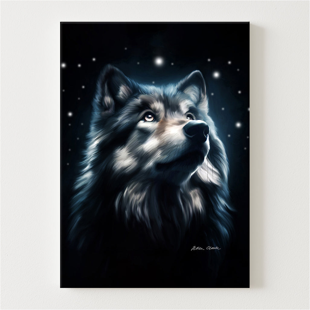 Dreamer Canvas