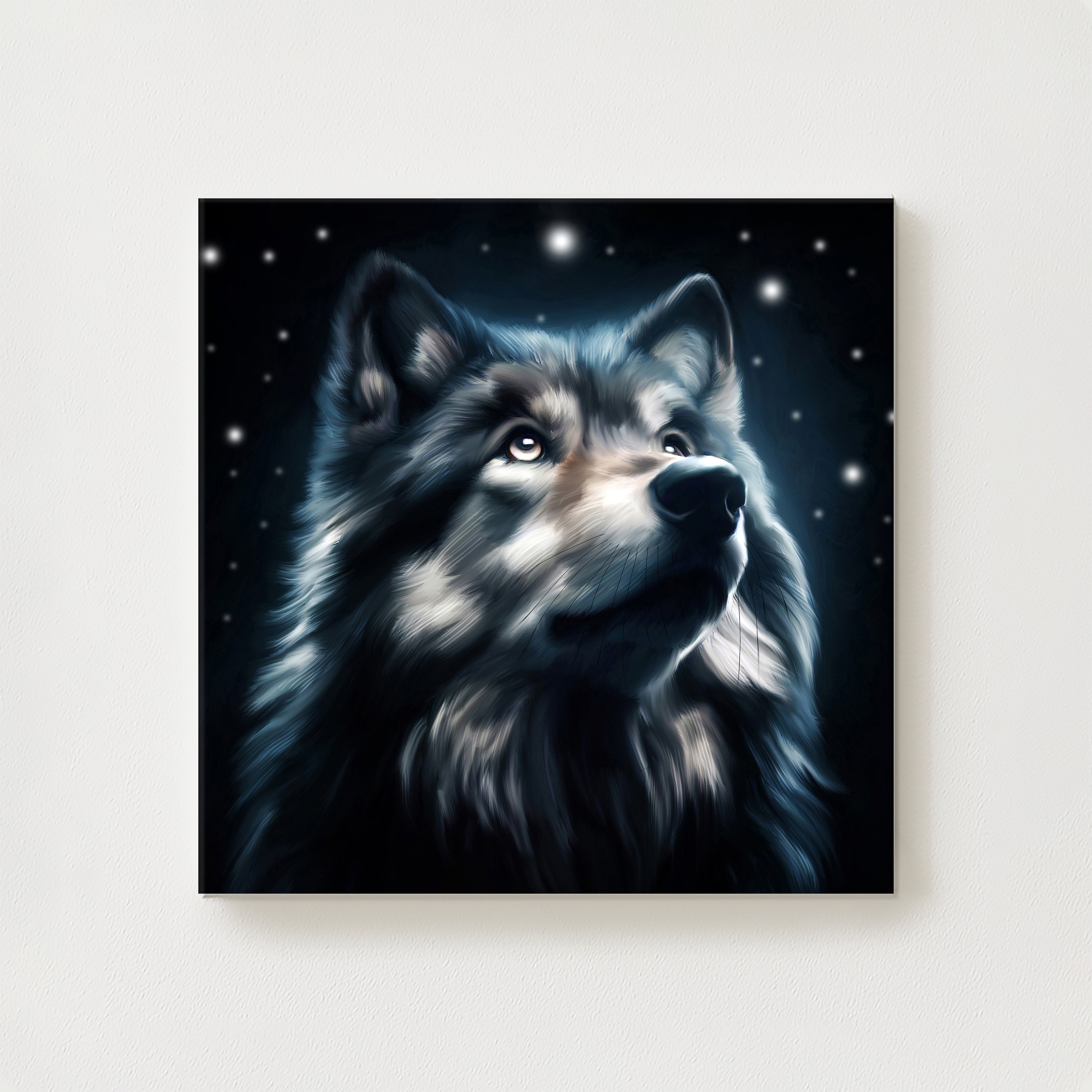 Dreamer Canvas