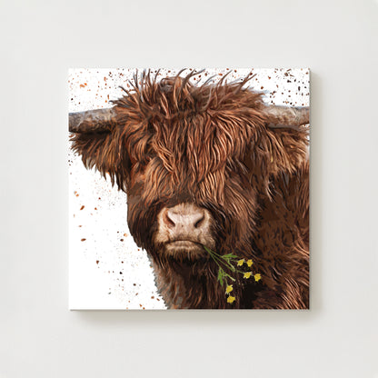 Jura Canvas