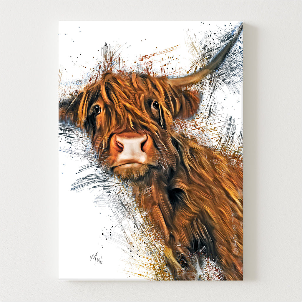 Ned Canvas