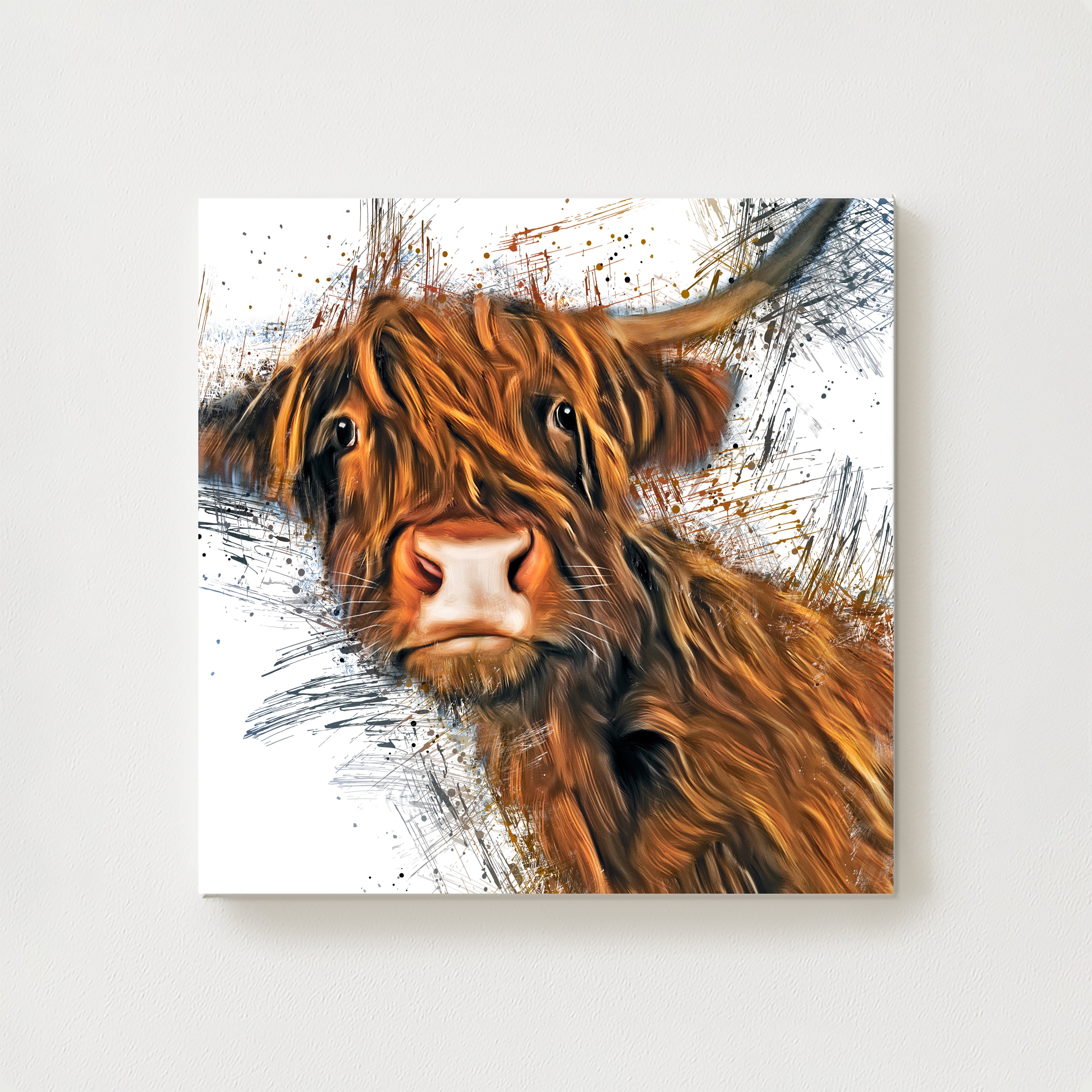 Ned Canvas