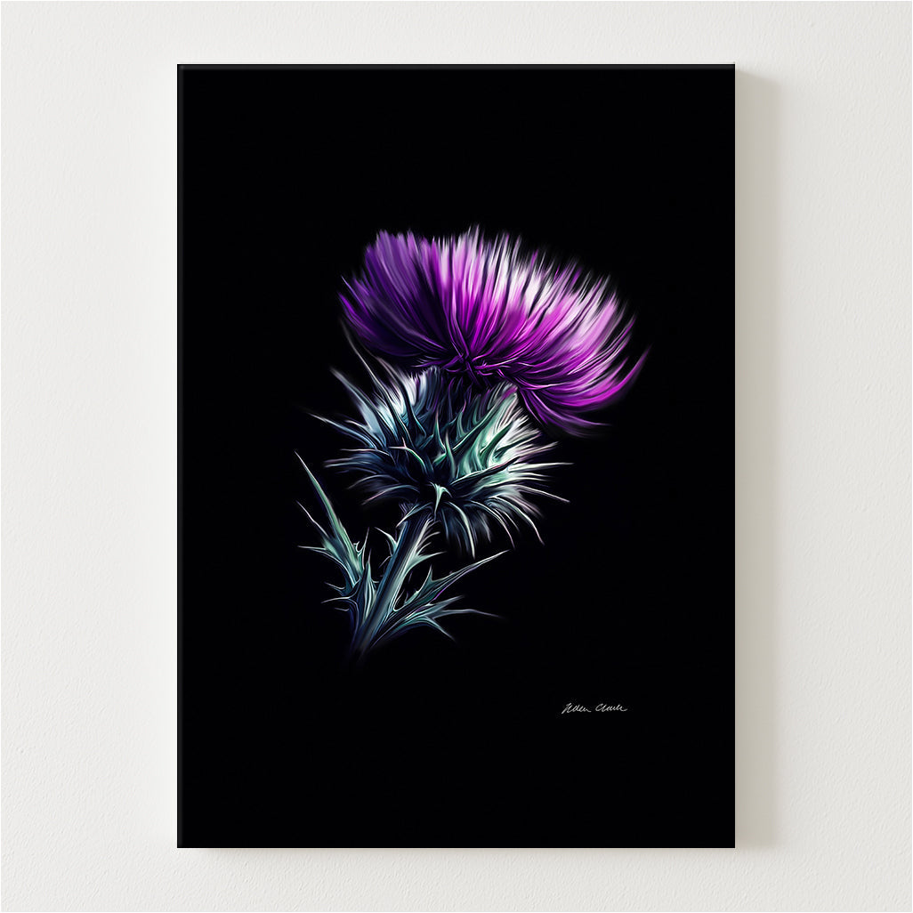 Purple Haze Canvas