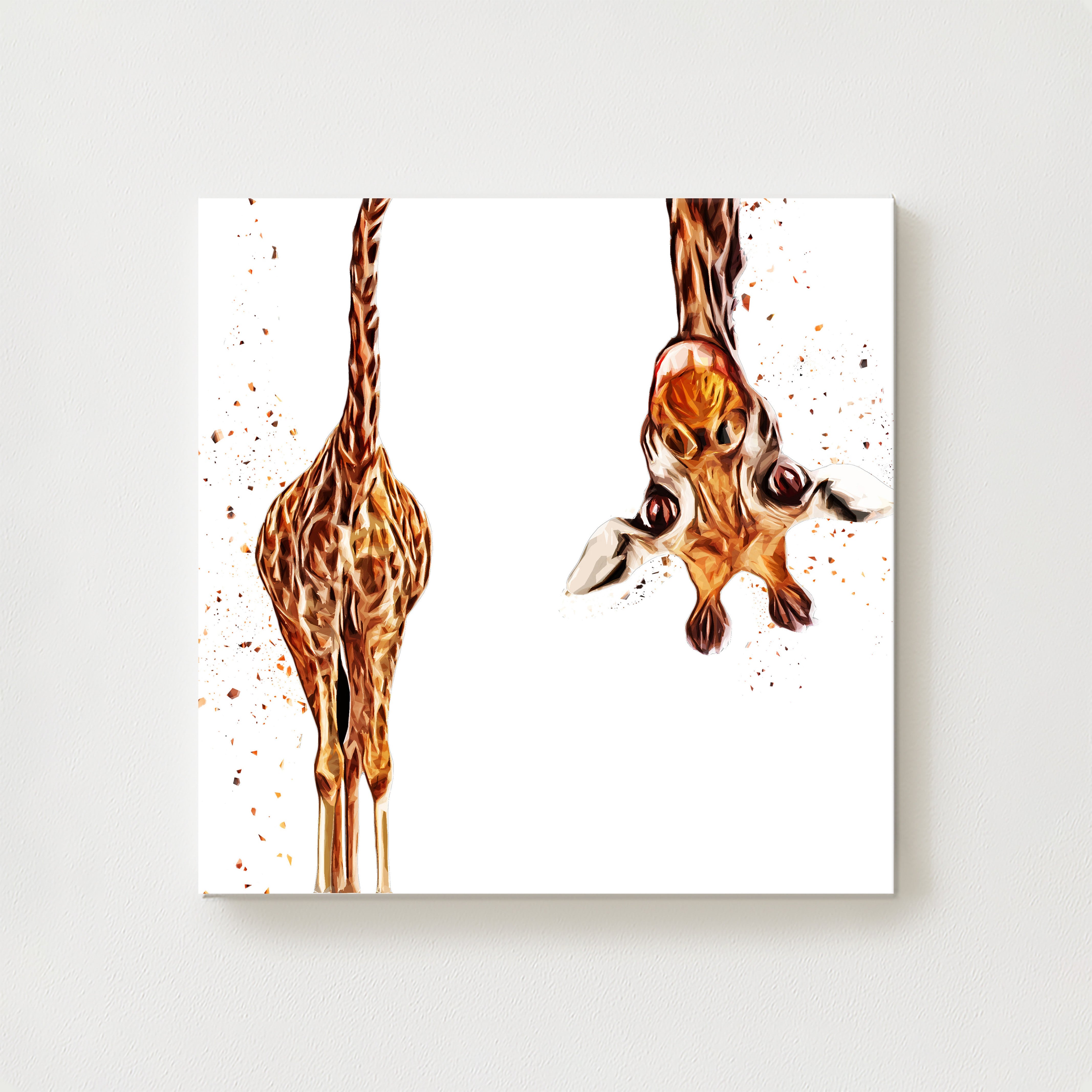 Raffy Canvas