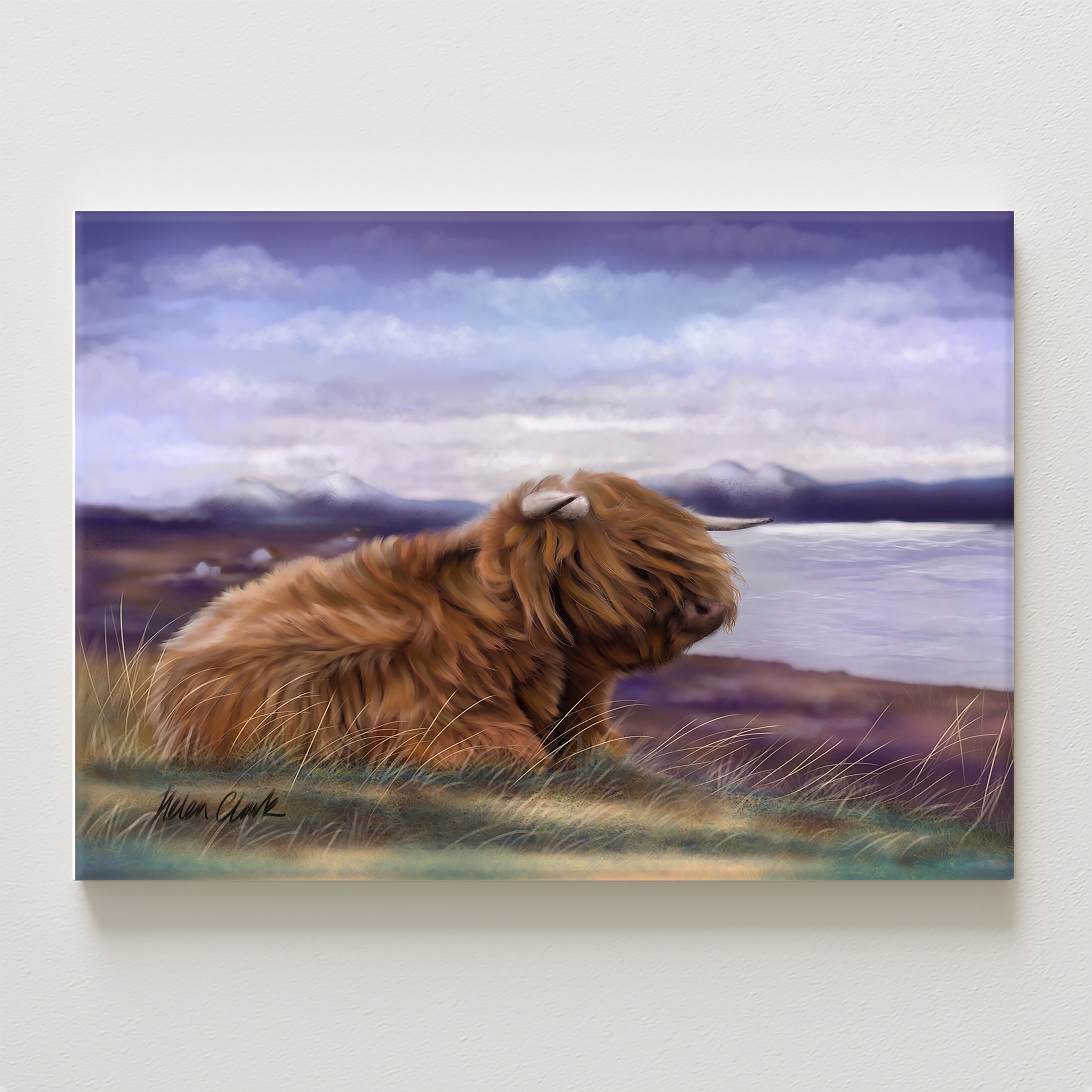 Skye Canvas