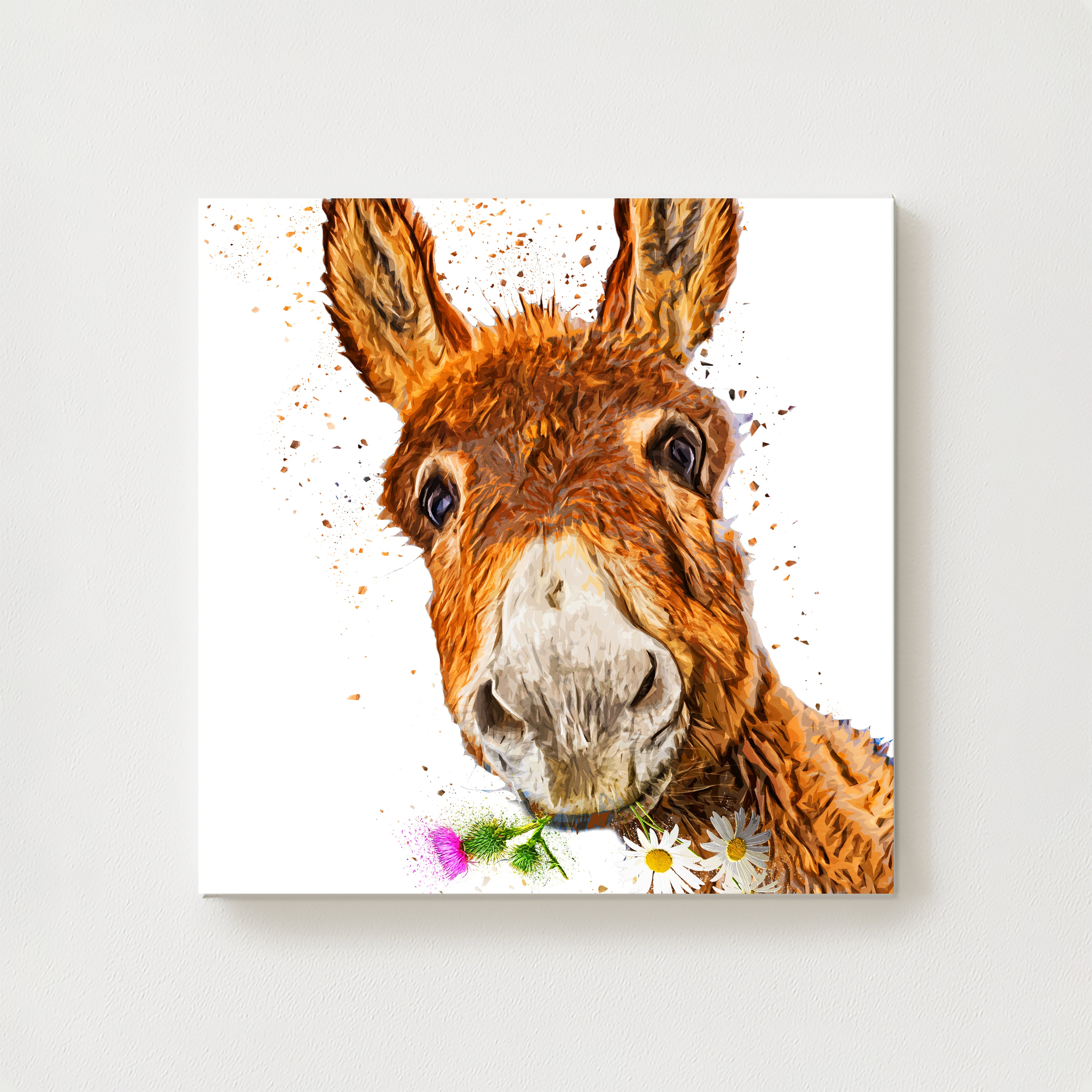 Ted Canvas