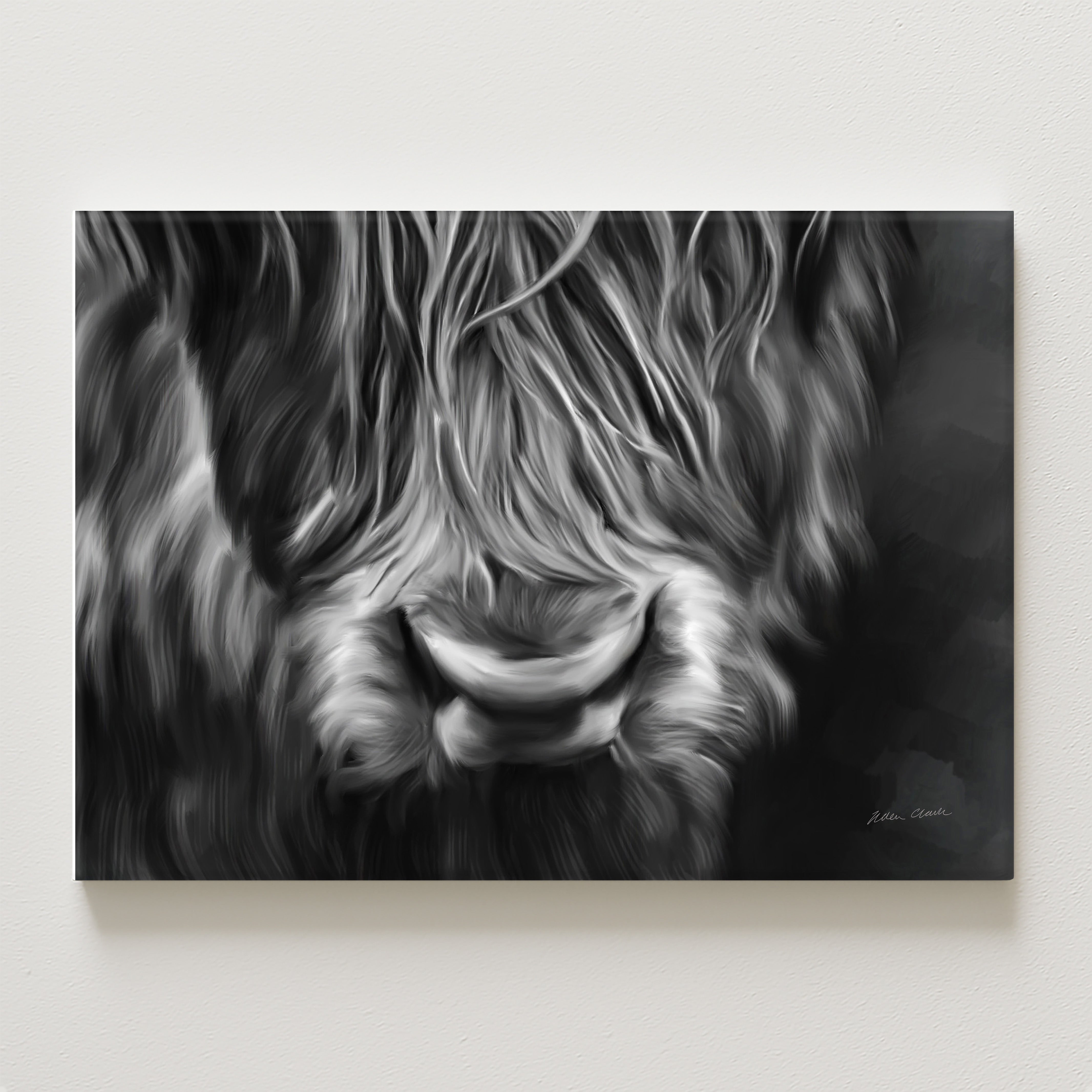 Velvet Canvas