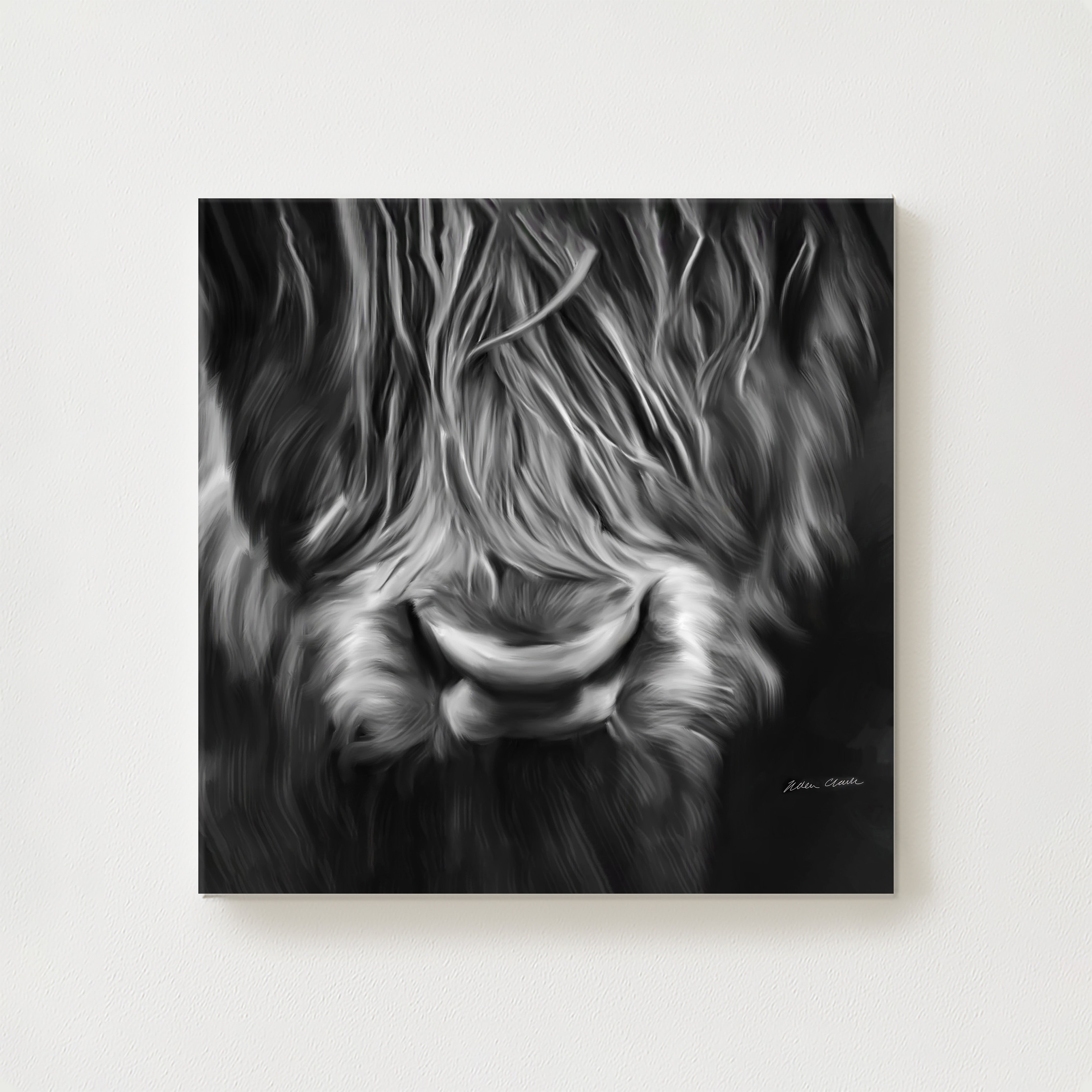 Velvet Canvas