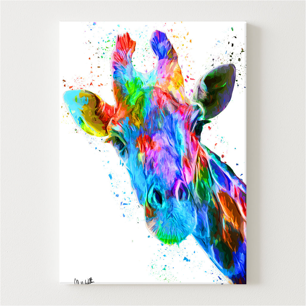 Rainbow Canvas