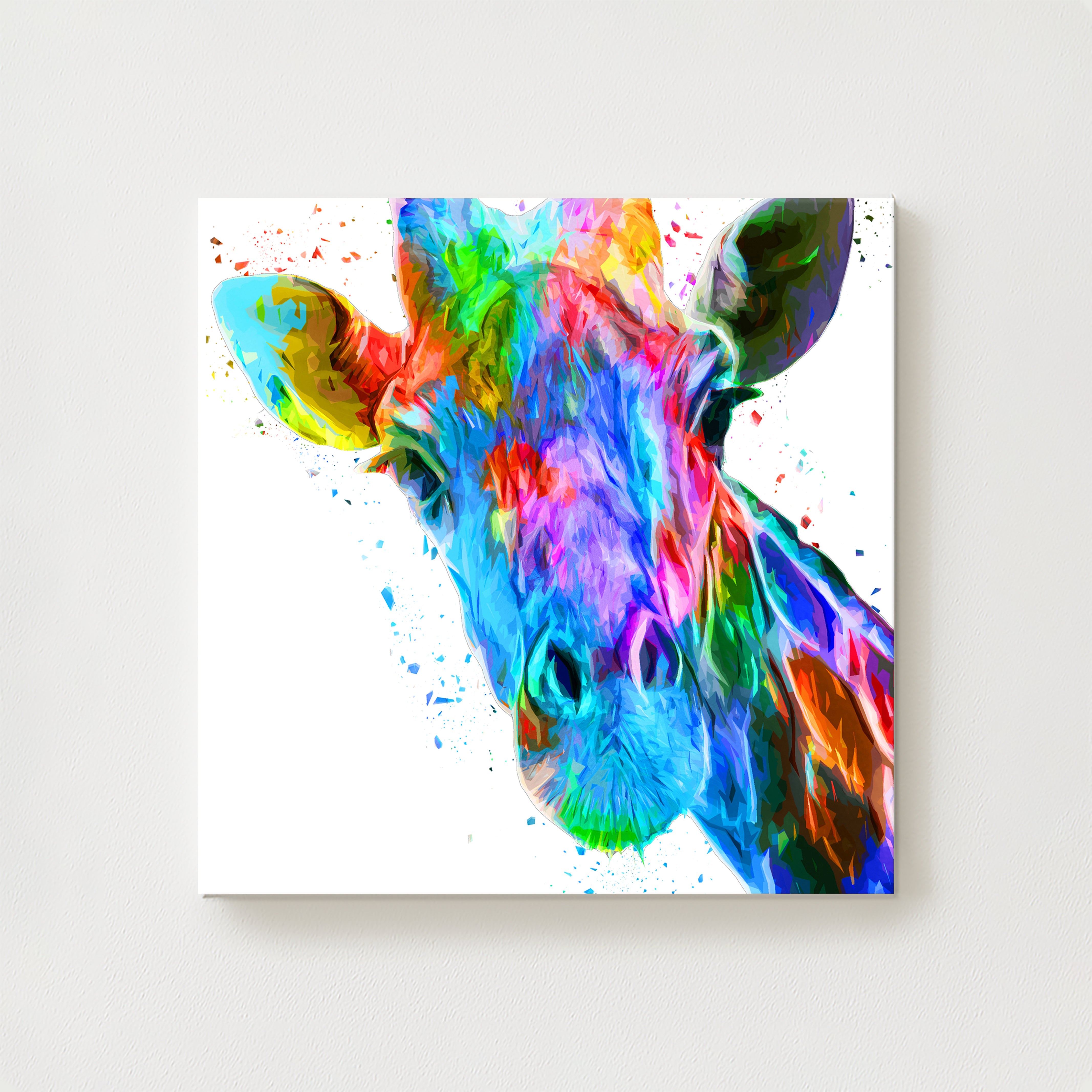 Rainbow Canvas