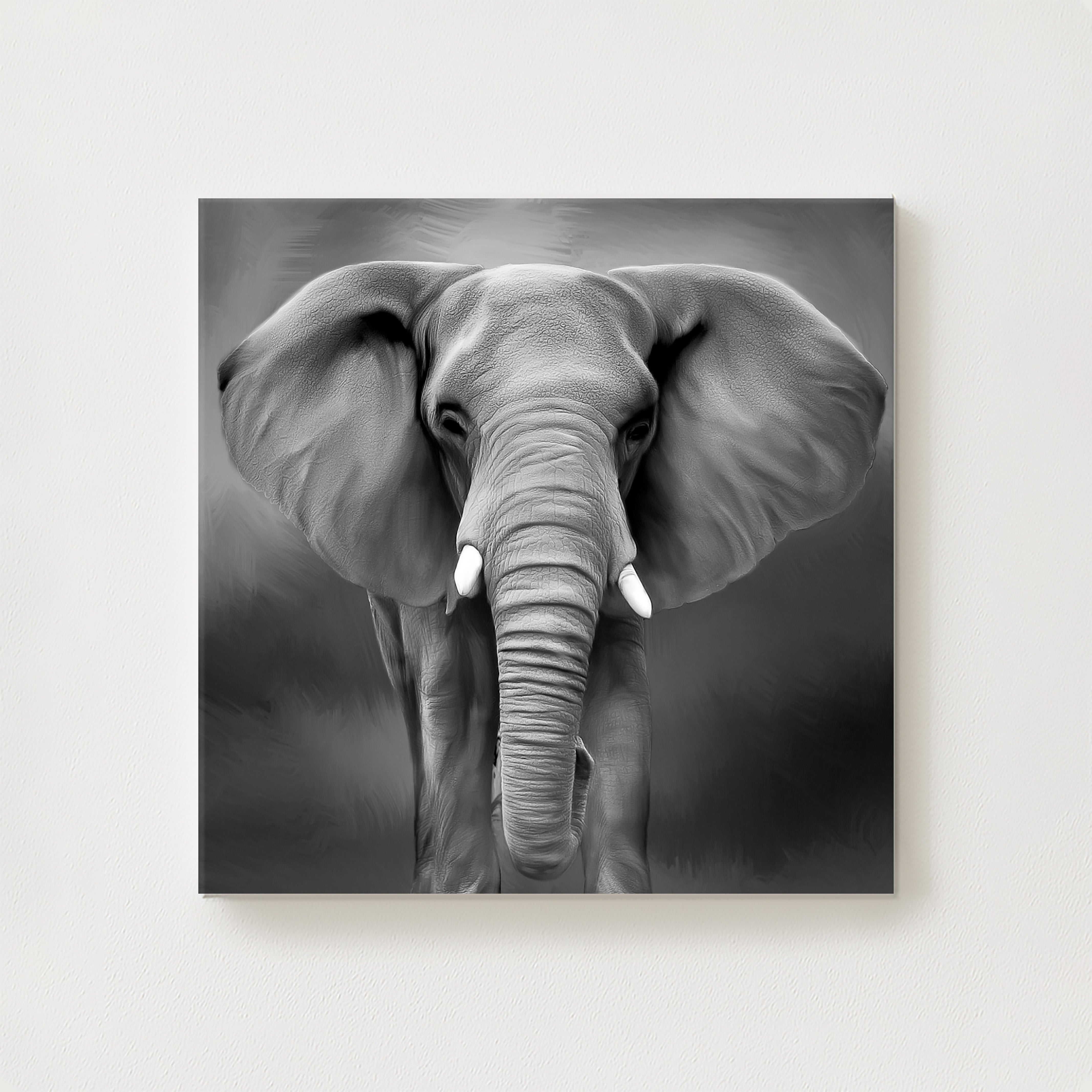 Zambezi Canvas